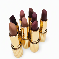 Rouge à lèvres minéral waterproof OEM 10g, tenue longue durée pour tous les tons de peau, emballage personnalisé, pour une sensation corporelle et sensuelle.