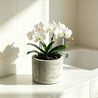 Pot de fleurs cylindrique moderne en ciment gris pour l'intérieur et l'extérieur, décoration de jardin, conteneur pour plantes succulentes et hortensias