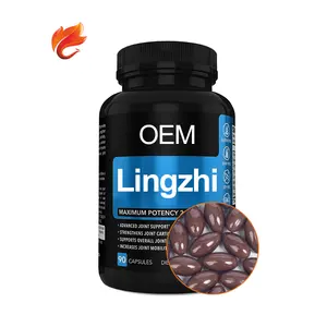 Lingzhi Spore Extract Brain Booster 500Mg 1000Mg OEM Soft Gels Soft Capsules