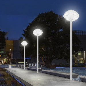 Fabricants professionnels de lampadaires LED offrant des lampadaires solaires LED et des solutions tout-en-un - Product Image 6