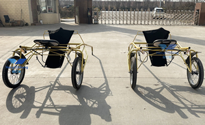 Chariot de chevaux miniature pour marathon, prix usine, directement de l'usine - Product Image 3
