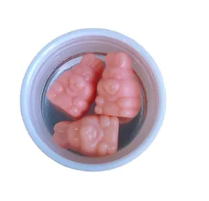 Probiotische Gummy Oem