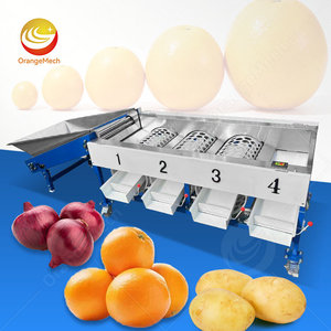 Machine de tri automatique des fruits ORME, bleuets, oranges, machine de nettoyage et de tri des tomates et de l'ail - Product Image 1