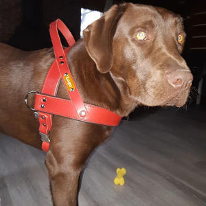 Arnés de Perro de Cuero Vegano Ecológico Suave Anti-Tirones, Chaleco para Mascotas Sin Tirones para Perros Grandes y Medianos con Asa - Product Image 4