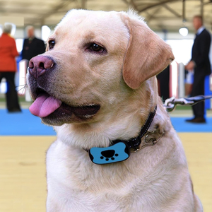 2024 özel renk şarj edilebilir su geçirmez köpek eğitmeni Bark stoper ses ile otomatik ayar - Product Image 5