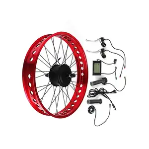 1 套电动自行车电机转换套件 20英寸前轮轮毂电机 350 瓦 500 瓦电动自行车转换套件