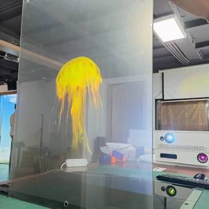 2025 năm mới quảng cáo/phim cửa sổ ba chiều/màn hình chiếu phía sau trong suốt/tự dính - Product Image 6