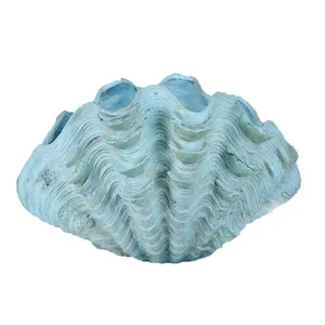 Collection Clam Shell Conch Vase for Garden Home Decor Wholesales Artificial Resin Available Polyresin Tabletop Vase Nature