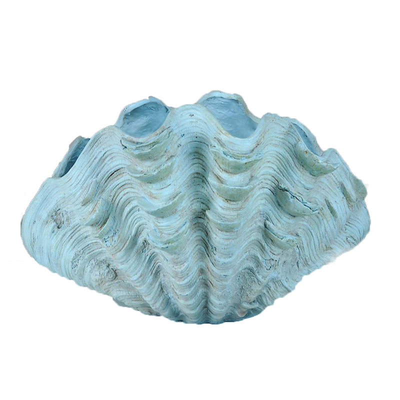 Collection Clam Shell Conch Vase for