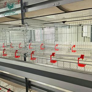 Gabbia per Allevamento Pulcini Tipo H Durevole a Basso Prezzo dalla Cina Nuova Condizione Automatica - Product Image 4
