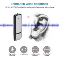 Mini Enregistreur Vocal HD Porte-Clés USB, Dispositif d'Enregistrement Audio