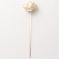 Bâtonnets diffuseurs de parfum en rotin faits à la main, durables, pour huiles essentielles, parfum d'intérieur, lotus blanc, 6 cm, vente en gros