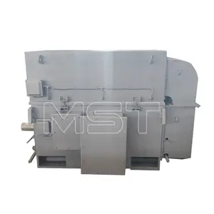 Factory Ac Electric Motor Asynchronous Multiphase 3 Phase Induction Motor Ac High Voltage Electric Motor