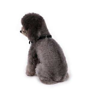 2025 köpek İngiliz tarzı düğün siyah yaka + kırmızı kravat köpek kostüm - Product Image 5