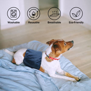 Famicheer पुरुष कुत्ता पालतू पेट लपेटें बैंड डायपर मध्यम कुत्ते पेशाब माहवारी डायपर - Product Image 6