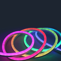 Vente directe d'usine, bande LED néon Pixel Flex, DC5V, contrôle par application USB, intelligent, RGBIC RGBW, lumière néon couleur pleine, IP65