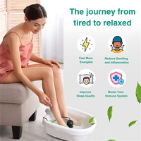 Machine de Désintoxication Électrique pour les Pieds, Spa de Bain de Pieds Ionique avec Bassine en Plastique
