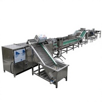 Ligne de production de frites, ligne de production de pommes de terre coupées en bâtonnets, ligne de production de chips, ligne de production alimentaire personnalisée