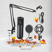 Ensemble de microphone à condensateur professionnel avec carte son, micro pour podcast, karaoké, enregistrement en direct, kit de studio, microphone USB BM800