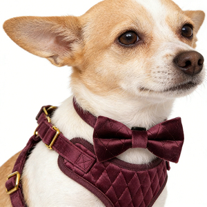 Lot de 5 harnais de luxe en velours doux et rembourré avec maille <span class=keywords><strong>pour</strong></span> chiens et chats, personnalisables avec sac à excréments et nœud papillon - Product Image 2