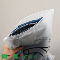 Sac en plastique givré à fermeture éclair pour vêtements avec Logo, sac d'emballage étanche à glissière, sac en plastique à glissière de stockage personnalisé