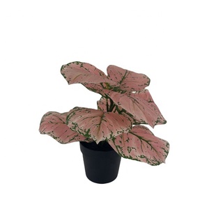 Pianta Artificiale in Plastica con Foglie Verdi da 25cm, Resistente all'Acqua e ai Raggi UV, Ecologica per Decorazione Casa e Vita <span class=keywords><strong>Verde</strong></span> - Product Image 2