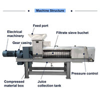 Hydraulische Heavy Duty Koude Schroef Pers Squeezer Ontwatering Machine Cassave Food Kurkuma Gember Fruit Juicer Sapcentrifuge Extractor
