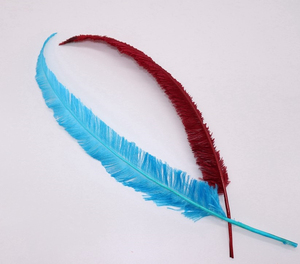 Disfraces de Carnaval Caribana Samba Disfraces Decoración <span class=keywords><strong>Nandu</strong></span> Plumas Rayas Pluma de avestruz - Product Image 2