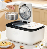 Cuisinière à riz électrique intelligente 800W pour 3-4 personnes, avec fonction de conservation de la chaleur, réservoir de 5L, double compartiment antiadhésif