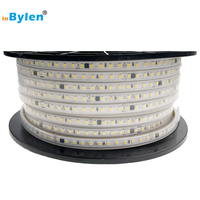 Bande lumineuse LED étanche pour extérieur AC 200V-240V, silicone haute tension IP66 Ra80 Ra90, CR RoHS 2700k 4000k 6000k, best-seller