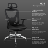 Chaise de bureau ergonomique en maille pour le Brésil avec repose-pieds, siège surdimensionné en forme de W, chaise de gaming