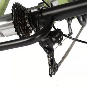Joyebikes-triciclo eléctrico para personas con movilidad reducida, <span class=keywords><strong>tribike</strong></span> de carga eléctrica de 3 ruedas - Product Image 4