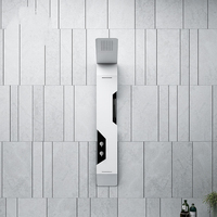 Panneau de douche cascade de luxe en acier inoxydable avec jets de massage SPA, mural pour hôtels, gymnases et usage commercial