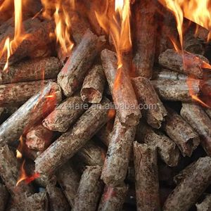 <span class=keywords><strong>Quemador</strong></span> <span class=keywords><strong>de</strong></span> <span class=keywords><strong>Pellets</strong></span> <span class=keywords><strong>de</strong></span> Biomasa <span class=keywords><strong>de</strong></span> Madera, Máquina Casera para Hacer <span class=keywords><strong>Pellets</strong></span> <span class=keywords><strong>de</strong></span> Madera, Equipo <span class=keywords><strong>de</strong></span> Ahorro <span class=keywords><strong>de</strong></span> Energía - Product Image 6