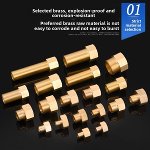 Raccord de tuyauterie en laiton massif avec filetage mâle pour l'eau domestique, vente en gros directe usine, ODM, OEM, logo personnalisé - Product Image 2