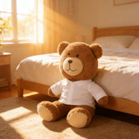 MSYO-T-shirt pull en peluche unisexe, 30cm, avec logo personnalisé, pour cadeau de Noël, à l'échelle 1:6