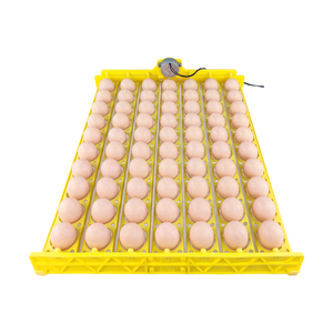 Fournisseurs chinois incubateurs œufs <span class=keywords><strong>à</strong></span> <span class=keywords><strong>couver</strong></span> couveuse automatique d'œufs de poule incubateur de volaille plateau de 70 œufs - Product Image 1