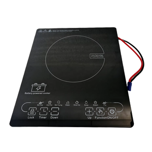 <span class=keywords><strong>Estufa</strong></span> de Inducción <span class=keywords><strong>Solar</strong></span> DC 24V 48V 1500W Diseño Empotrable de Sobremesa para Uso en Interiores/Exteriores para Hoteles Clientes de EE. UU. - Product Image 4