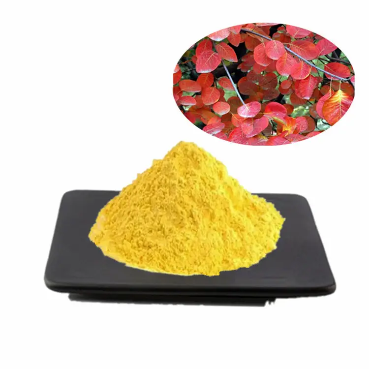 Wholesale price Cosmetic grade pure 99% cotinus coggygria extract bulk food supplement fisetin powder