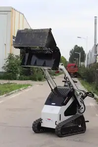 Mini chargeur de dérapage de glissière de chenille pour la ferme familiale fabriquée en Chine