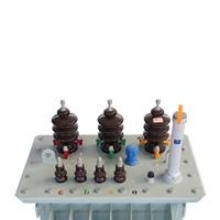 Proveedor de Transformadores de Distribución de Aceite de 10kv de Calidad Premium