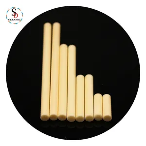 Customized Heat Resistance Alumina Zirconia Ceramic Pump Plungers