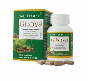 Cápsulas de Giloy de Alta Potencia para el Apoyo Inmunológico, Cápsulas de Extracto de Giloy Natural, Fórmula de Desintoxicación y Bienestar - Product Image 2