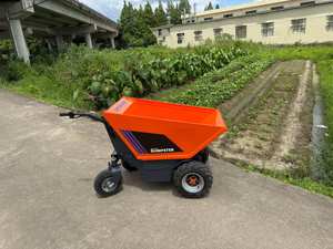 Entrega Rápida 2026 Transportador Eléctrico Pequeño y Económico de 500 kg 4x4, Carretilla Motorizada Eléctrica con Batería, Minidumper - Product Image 4