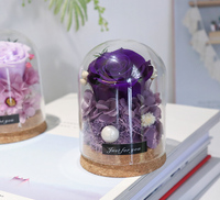 Rose véritable préservée sous cloche en verre, boîte cadeau, fleur éternelle, cadeau d'anniversaire, fête des mères, mariage, pour petite amie, décoration de la maison