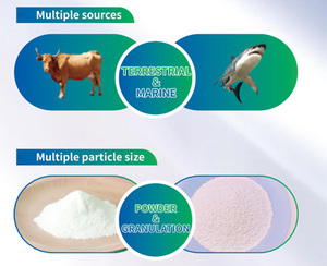 All'ingrosso alla rinfusa acido ialuronico glucosamina condroitina <span class=keywords><strong>msm</strong></span> - Product Image 5