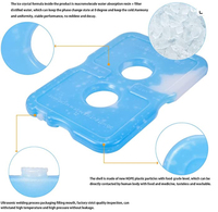 Brique de Glace Réutilisable en Plastique pour Congélateur, Vente en Gros Usine, Pack de Glace Mince pour Boîte à Lunch, Brique Réfrigérante pour Garder au Frais