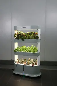 Qualitäts produkt 4 Tier Indoor Hydro ponic Tower System Kommerziell Für den Anbau Ihrer eigenen Blumen und Gemüse