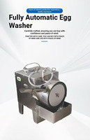 Machine de lavage automatique d'œufs de poule à une seule rangée, nettoyeur d'œufs de volaille, machine de nettoyage d'œufs de caille