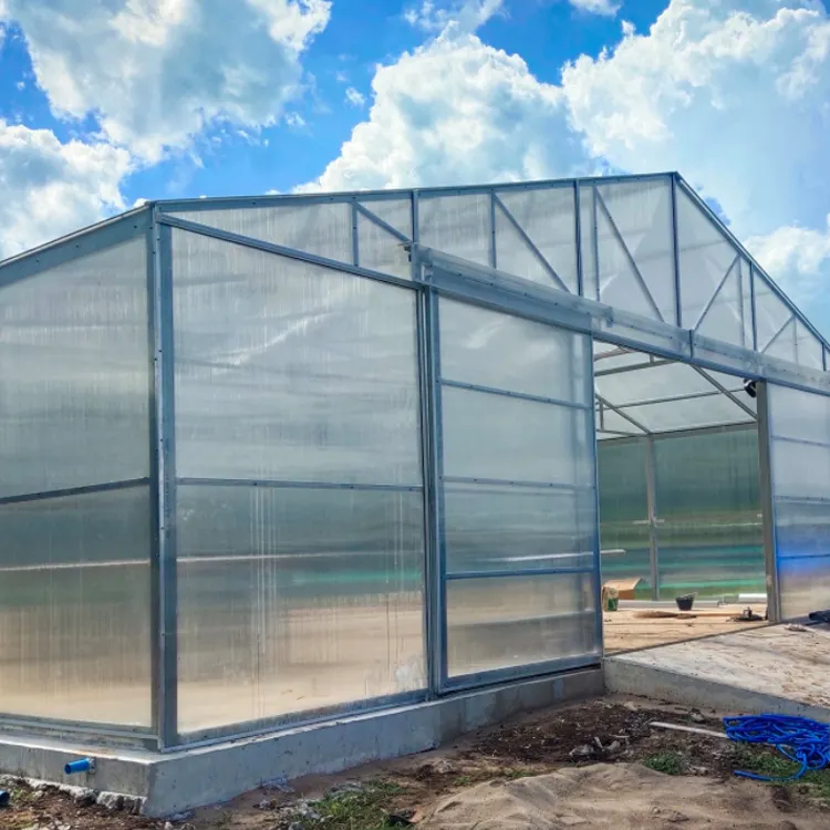 MYXL Easy Install Tunnel Farming Single-span Greenhouse 10mm Polycarbonate Greenhouses